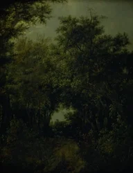 Route dans une forêt de chênes