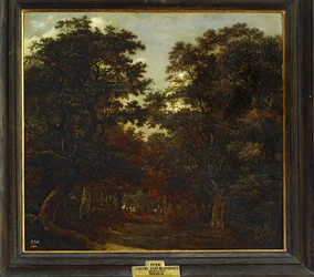 Forêt ...