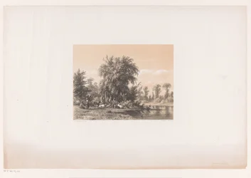 Vaches se reposant près de l