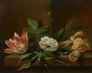 Une tulipe perroquet, une rose, un iris et des insectes sur une table en bois