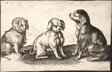 Trois petits chiens