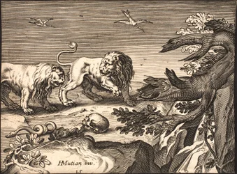 Deux lions dans la nature