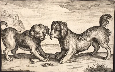 Deux petits chiens
