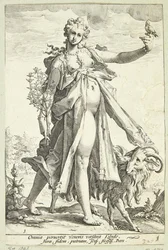 Volupté