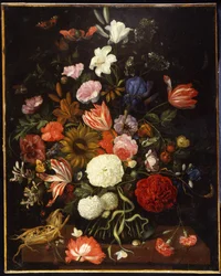 Coquelicots, tulipes, roses, œillets, boule de neige, lys, iris, un tournesol et d