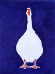 Oie de Coedwynog, 2000