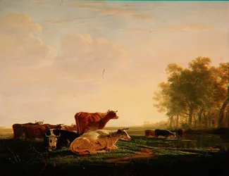 Bétail dans un paysage