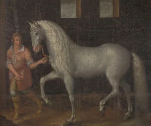 Cheval de guerre espagnol capturé par Lodewijk Gunther van Nassau et présenté au Prince Maurits