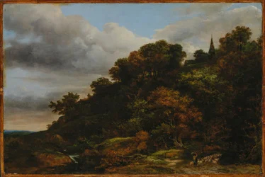 Une colline boisée