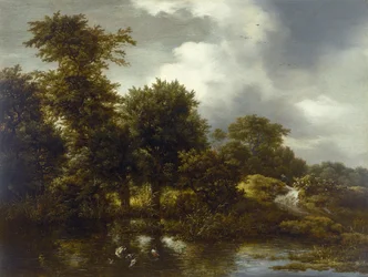 Paysage boisé avec un étang