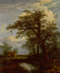 Paysage boisé avec un chêne, un étang et des maisons au-delà.