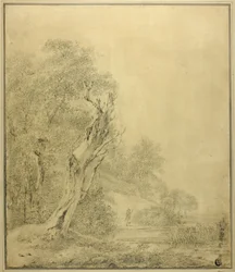 Arbre mort au bord de l