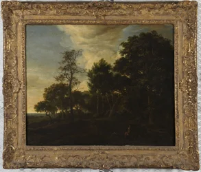 Paysage forestier