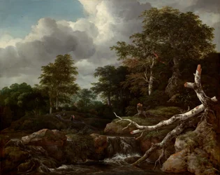 Scène de forêt