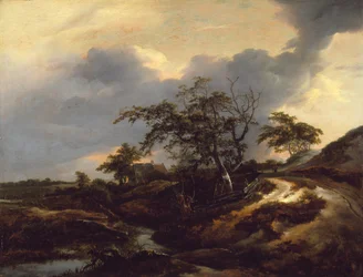Paysage avec dunes
