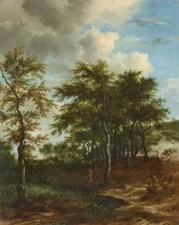 Paysage avec de grands arbres