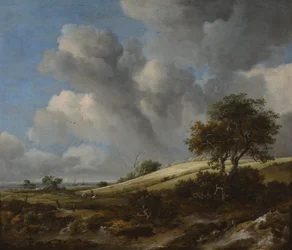 Paysage avec un champ de maïs près de la mer