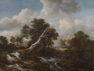 Cascade basse dans un paysage boisé avec un hêtre mort