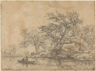 Vieux arbres le long d