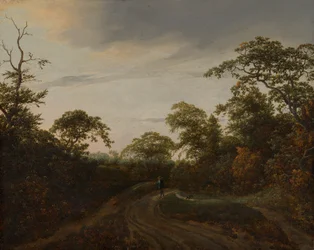 Route à travers un paysage boisé au crépuscule