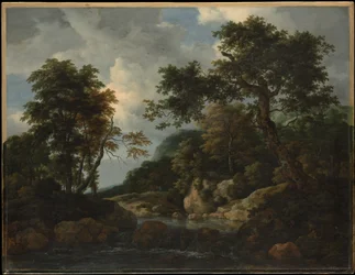 Le ruisseau forestier