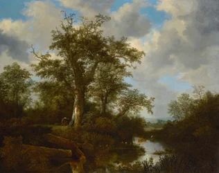 Paysage boisé avec du bétail traversant un ruisseau