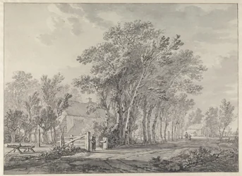 Une allée bordée de hauts arbres