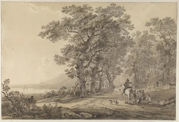 Un chemin bordé de hauts arbres le long d