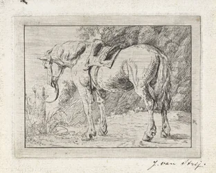 Cheval sellé attaché à un poteau