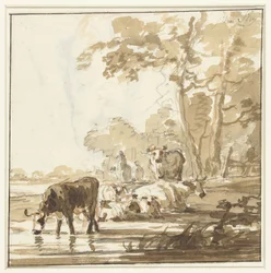 Bétail au repos au bord d