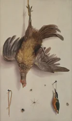 Une poule et un martin-pêcheur suspendus à une ficelle