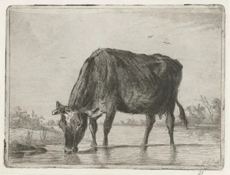 Vache buvant