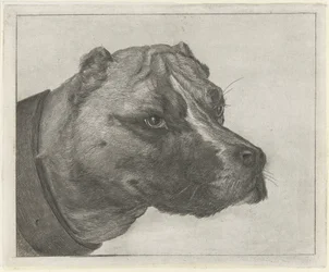 Tête de chien avec collier