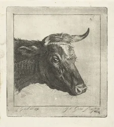 Tête de vache avec corde autour des cornes