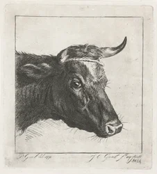 Tête de vache avec corde autour des cornes