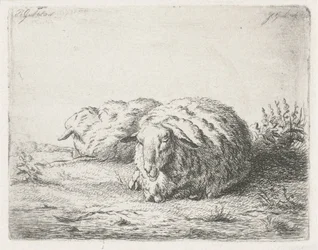 Deux moutons couchés