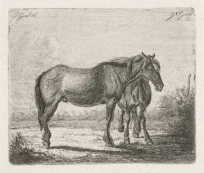 Deux chevaux