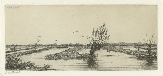 Lac de tourbière