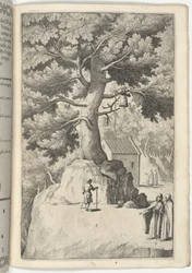Hêtre avec la cloche (Faggio della campana) [plaque X]