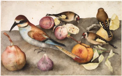 Nature morte avec oiseaux et fruits