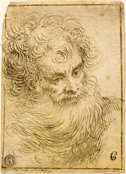 Tête de vieil homme barbu (recto); Croquis décoratif de fleur et feuilles (verso)