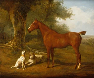 Un chasseur alezan avec un Briard et un Dalmatien