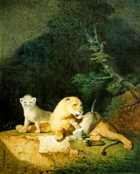 Lionne et lionceaux