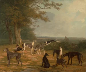 Neuf lévriers dans un paysage