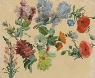 Études de fleurs d