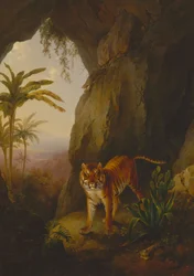 Tigre dans une grotte