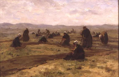 Réparation des filets