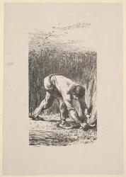 Le Moissonneur