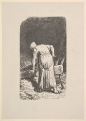 Femme coupant du blé