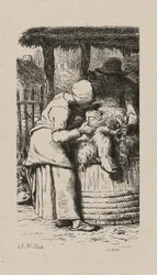 Femme tondant des moutons